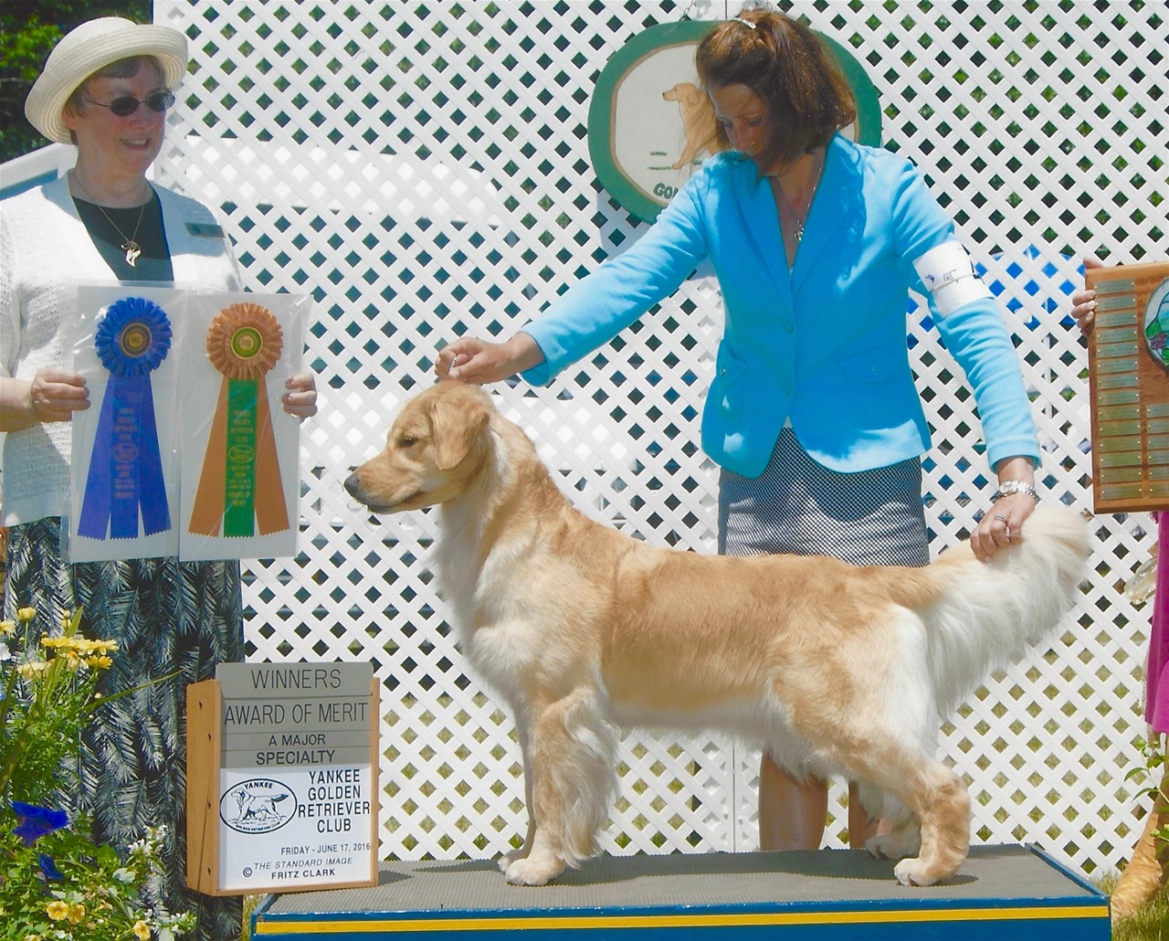 Yankee Golden Retriever Club